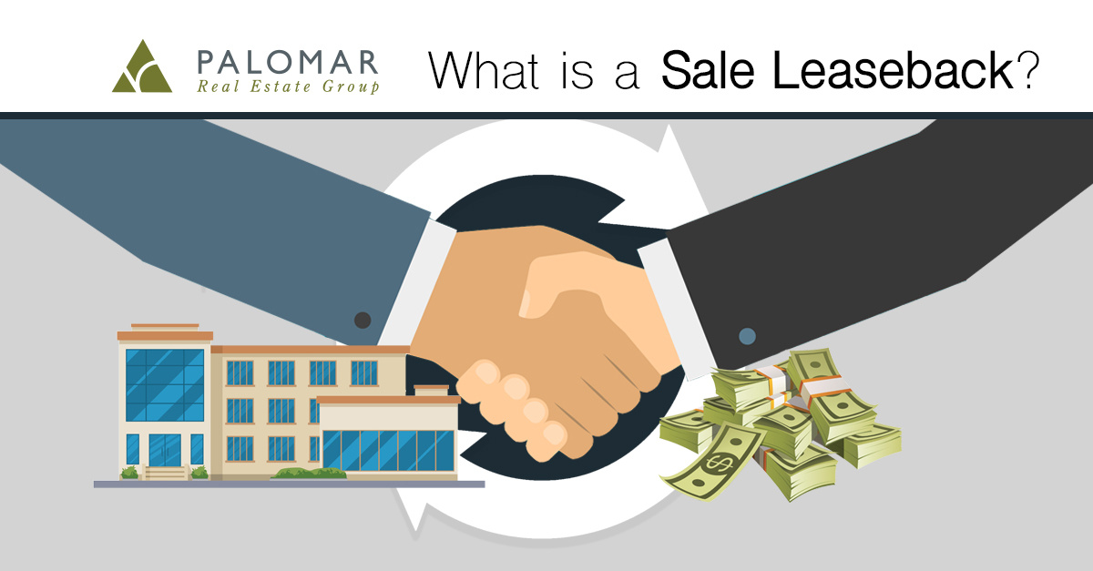 Promotional graphic for Palomar Real Estate Group explaining a Sale Leaseback. Features a handshake, a modern commercial building, and a pile of cash, symbolizing the transaction process. The title reads, "What is a Sale Leaseback?"
